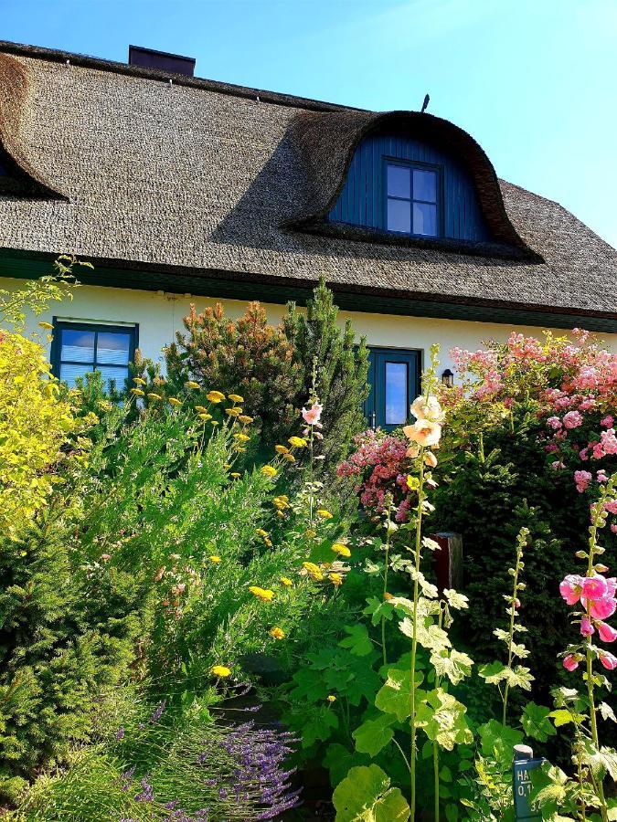 Insel Landhaus Bernstein Villa Gager Eksteriør billede