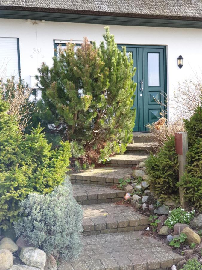 Insel Landhaus Bernstein Villa Gager Eksteriør billede